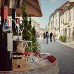 Borostyan Vendeghaz בית הארחה אגר