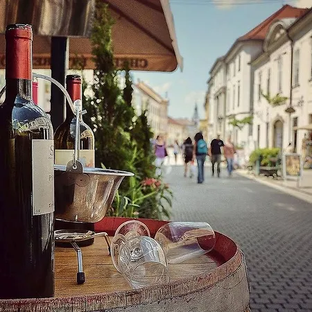 Borostyan Vendeghaz Pensjonat Eger