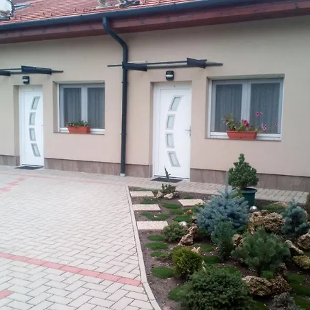 Guest house Borostyan Vendeghaz *