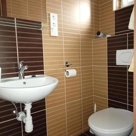 Borostyan Vendeghaz Penzion 3*
